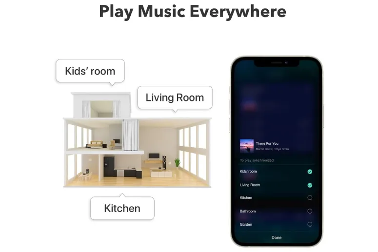 WiiM Pro Plus Multi-room Play Music Everywhere