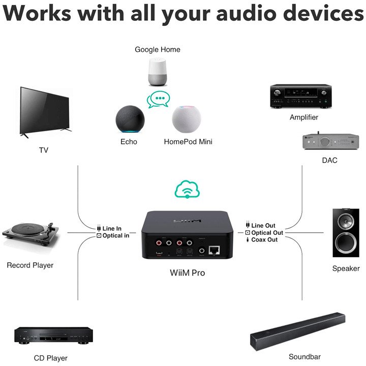 WiiM Pro Works with All Other Audio Devices