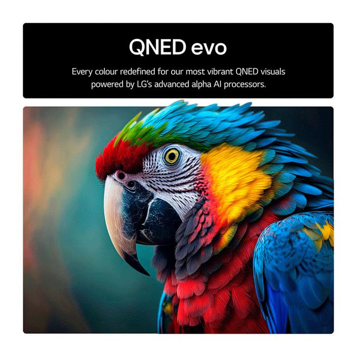 LG 100QNED86A6 QNED EVO